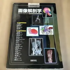 画像解剖学