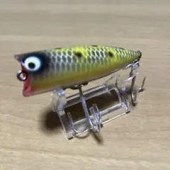 チャガースプーク 1 オールド ヘドン