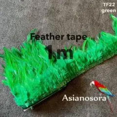 Item thumbnail for item 41680e35-628f-489c-b508-fb633764e72c