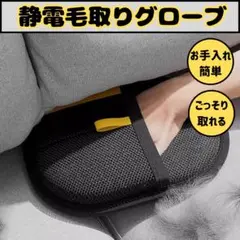 Item thumbnail for item 132f9d0b-ab4a-4c44-adf7-2437a4cb2ae3