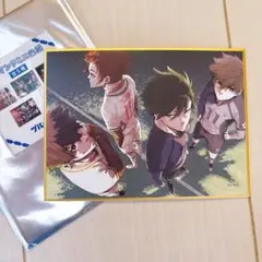 翌日発送 ◾︎ ブルーロック 伊勢丹 ミニ色紙 凛 冴