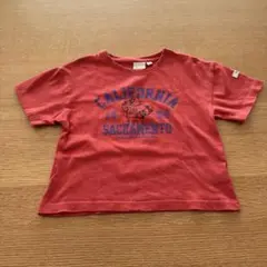 Tシャツ 半袖　赤　動物　くま　100センチ