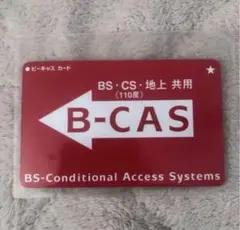 B-CAS カード 袋 本体