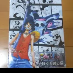 ONE PIECE ワンピース　クリアファイル　冬に咲く、奇跡の桜