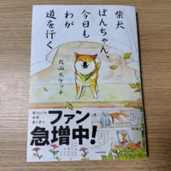 【帯あり】柴犬ぽんちゃん、今日もわが道を行く