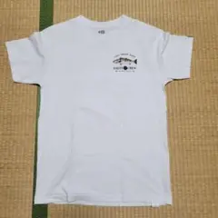 SALTY CREW ソルティークルー メンズ ティーシャツMサイズ 古着