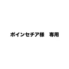 専用