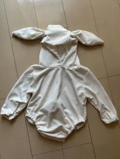 Item thumbnail for item 4d8430cb-52de-4505-9340-f3357d24cef3