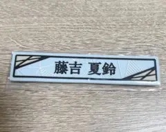 Item thumbnail for item 2ae8ae4b-69d9-4273-8c31-b312efcd785a