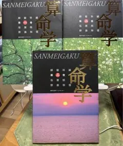 算命学　師範科 第六巻　 伝習院　野島和信 伝習院 算命学 本科・専門科・研究科 ②③④⑤⑥⑦⑧ 7冊セット