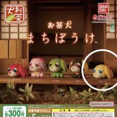 お茶犬 ガチャガチャ まちぼうけ チャイ
