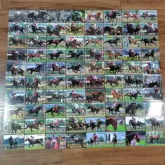 競馬カード　メジロ系競走馬トレーディングカード80枚セット