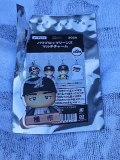 千葉ロッテマリーンズ パワプロマリーンズ マルチチャーム
