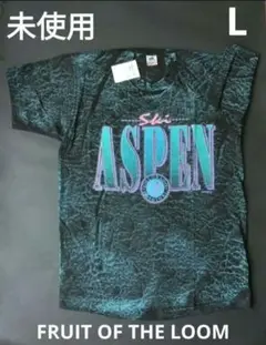 【タグ付き】90s FRUIT OF THE LOOM Aspen Tシャツ