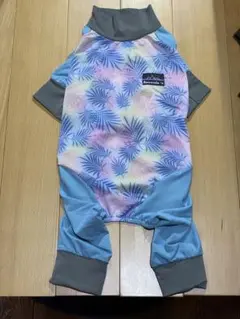 Item thumbnail for item 953bd3f2-e672-44da-9acc-faf8486466e0