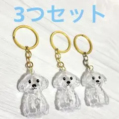 Item thumbnail for item 10621741-2473-4802-8558-87f4d75b44a0