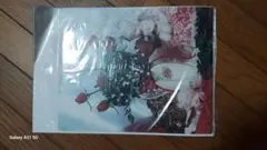 シャドーボックス用素材 A4 バラデザイン