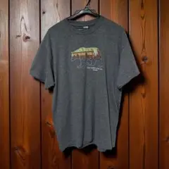 GILDANギルダンHEAVY COTTON ロッキーマウンテン国立公園Tシャツ