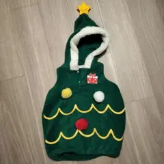 Item thumbnail for item ca3620ed-da52-433c-80a3-e576032892b5