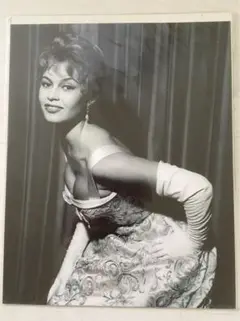 ブリジット・バルドー レトロスペクティヴ 2024 B2両面 ポスター BRIGITTE BARDOT FESTIVAL RETROSPECTIVE 2024 Japanese B2