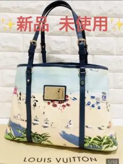 【 LOUIS VUITTON 】新品 未使用 ルイヴィトン アイオール バッグ