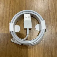 新品未使用　正規品Apple Type-C 充電ケーブル