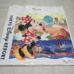 ディズニーランド 袋 Lサイズ
