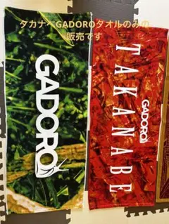 GADORO 宮崎限定ノベルティDVD GADORO Official site