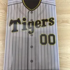 山本泰寛 クリアファイル