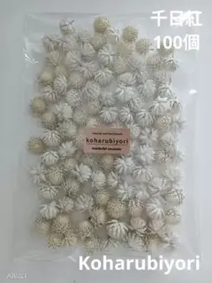 千日紅 ドライフラワー 100個