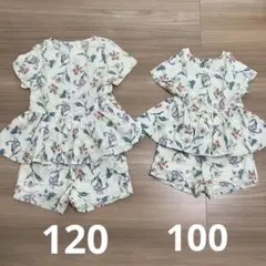 プティマイン　セットアップ　2点セット