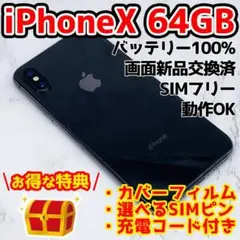 iPhone X Space Gray 64 GB SIMフリー 3147