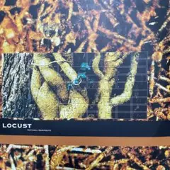 LOCUST ダブルLPレコード 1994年リリース