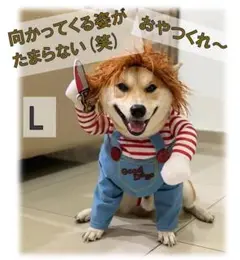 Item thumbnail for item 41ad1e20-9116-454a-ac62-f2808f2103a7