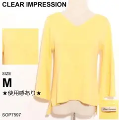 Item thumbnail for item 5e7bc653-f7ef-42ca-a29c-9c616ed40bdd