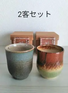 未使用! 湯呑み茶碗 器 陶器 ふじわら陶房 2客セット 古代ロマン