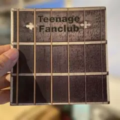 Teenage Fanclub / what you do to me
