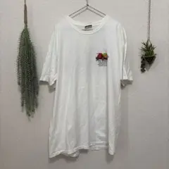 STUSSY フルーツデザイン Tシャツ 1980