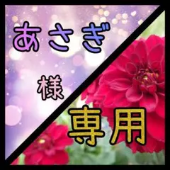 Item thumbnail for item 732e879f-5eb9-4f88-95f4-65f1f591e93a
