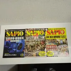SAPIOセット2004年号