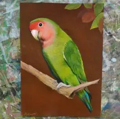 アクリル画　枝に止まるコザクラインコ　Ａ４