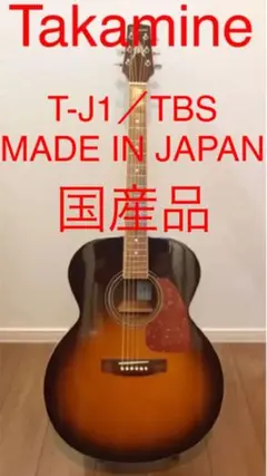 T-P2 STR タカミネ Takamine パーラーギター 小さめギター T-P2 STR タカミネ Takamine パーラーギター 小さめギター 楽器