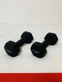 SONGMICS　ダンベル　5キロ　5KG　2個セット　合計10キロ　送料無料