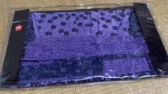 Item thumbnail for item aa042d77-bc41-4803-aeb7-d357466f3e6e