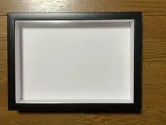 標本箱A4サイズ