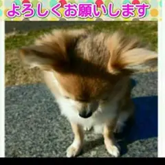 Item thumbnail for item c732da87-488d-416a-9296-5ae8042c9662