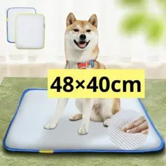 Item thumbnail for item 5c9c405d-0be5-4fc0-9c33-f9908f631ab8