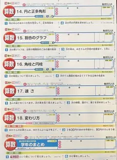 5年 算数(啓) カラーテスト 教育同人社 令6度 3学期分 無記入 解答付