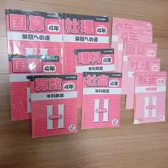 日能研 4年 ステージ2 教材