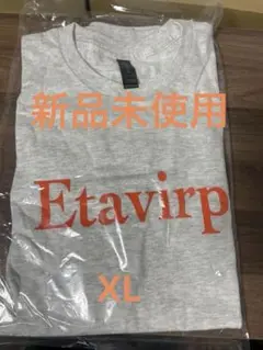 Etavirp Logo Tee. (Ash×Orange) XL Tシャツ